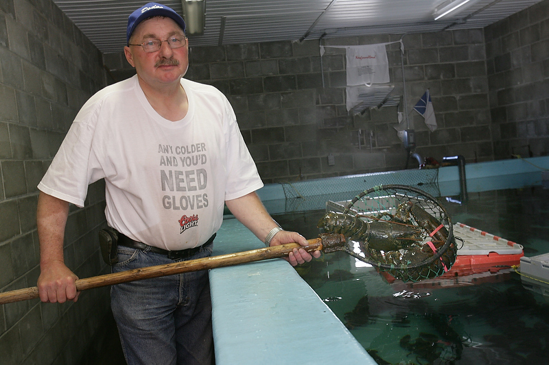 Fresh lobster!